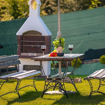 Villa Kasztelan Apartamenty Ustrzyki Dolne Extérieur photo
